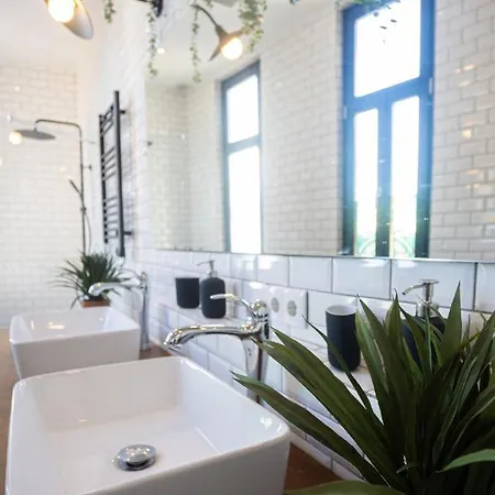 Amazing Family Flat In Center Porto